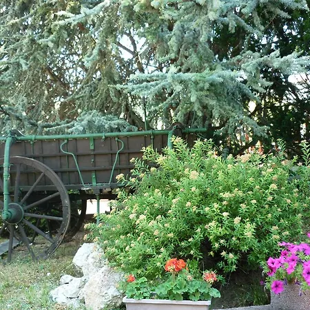 Kapu Panzio B&B