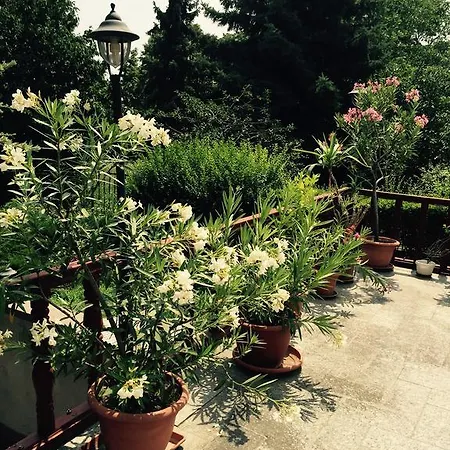 B&B Kapu Panzio